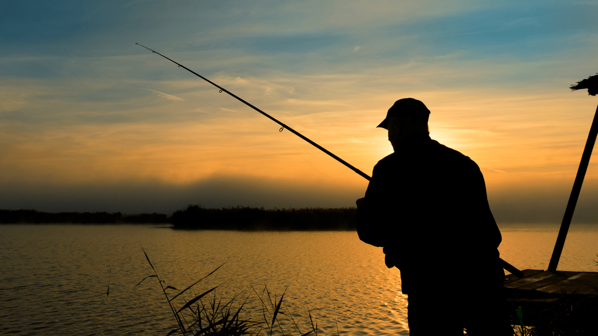 Best Fishing Knives in Australia (2025 Guide) - D'Avila Australia