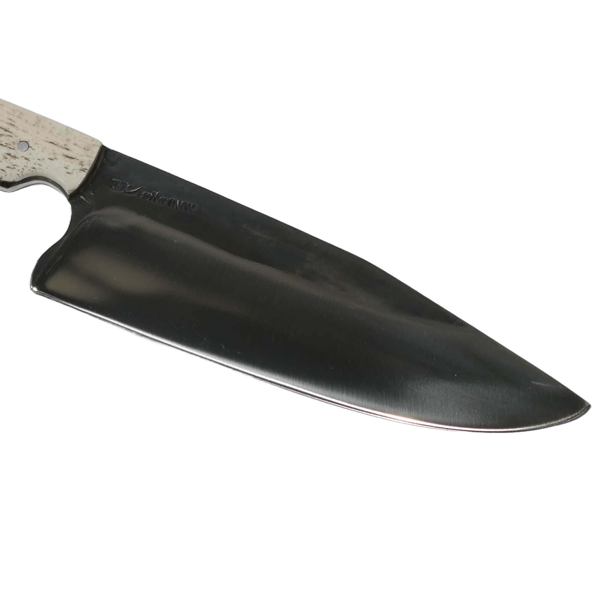 Big Chef Gourmet 8" Knife in Stainless Steel 420, Bovine Bone Handle - D'Avila Knives camping knife by D'Avila Australia