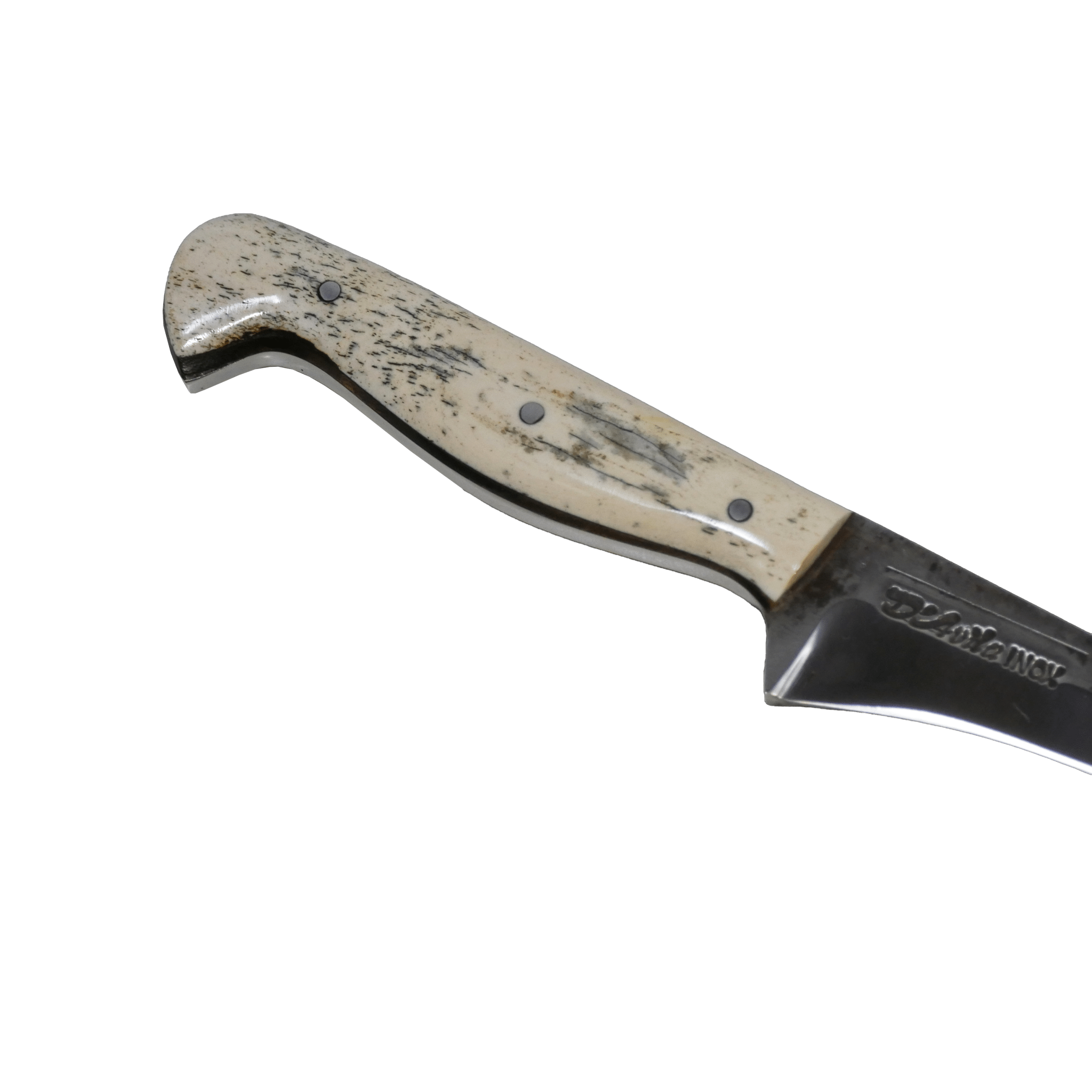 Fillet Gourmet 8" Knife in Stainless Steel 420, Bovine Bone Handle - D'Avila Knives camping knife by D'Avila Australia