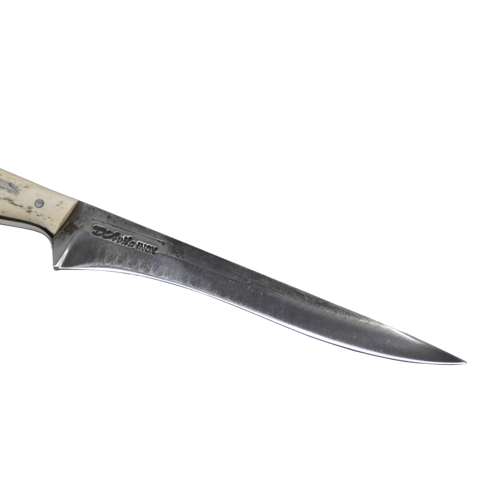 Fillet Gourmet 8" Knife in Stainless Steel 420, Bovine Bone Handle - D'Avila Knives camping knife by D'Avila Australia