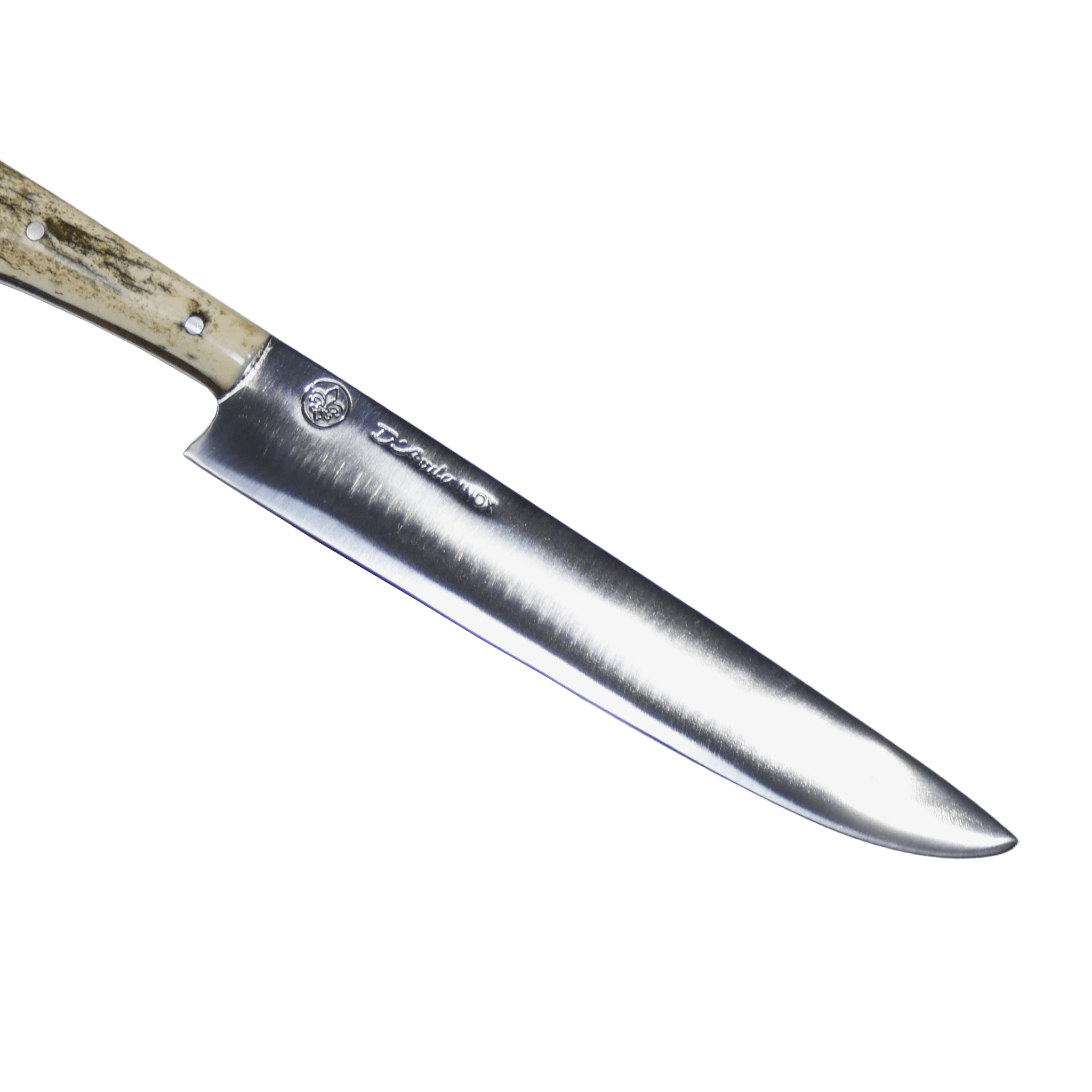Florão Barbecue 8" Knife in Stainless Steel 420, Bovine Bone Handle - D'Avila Knives camping knife by D'Avila Australia