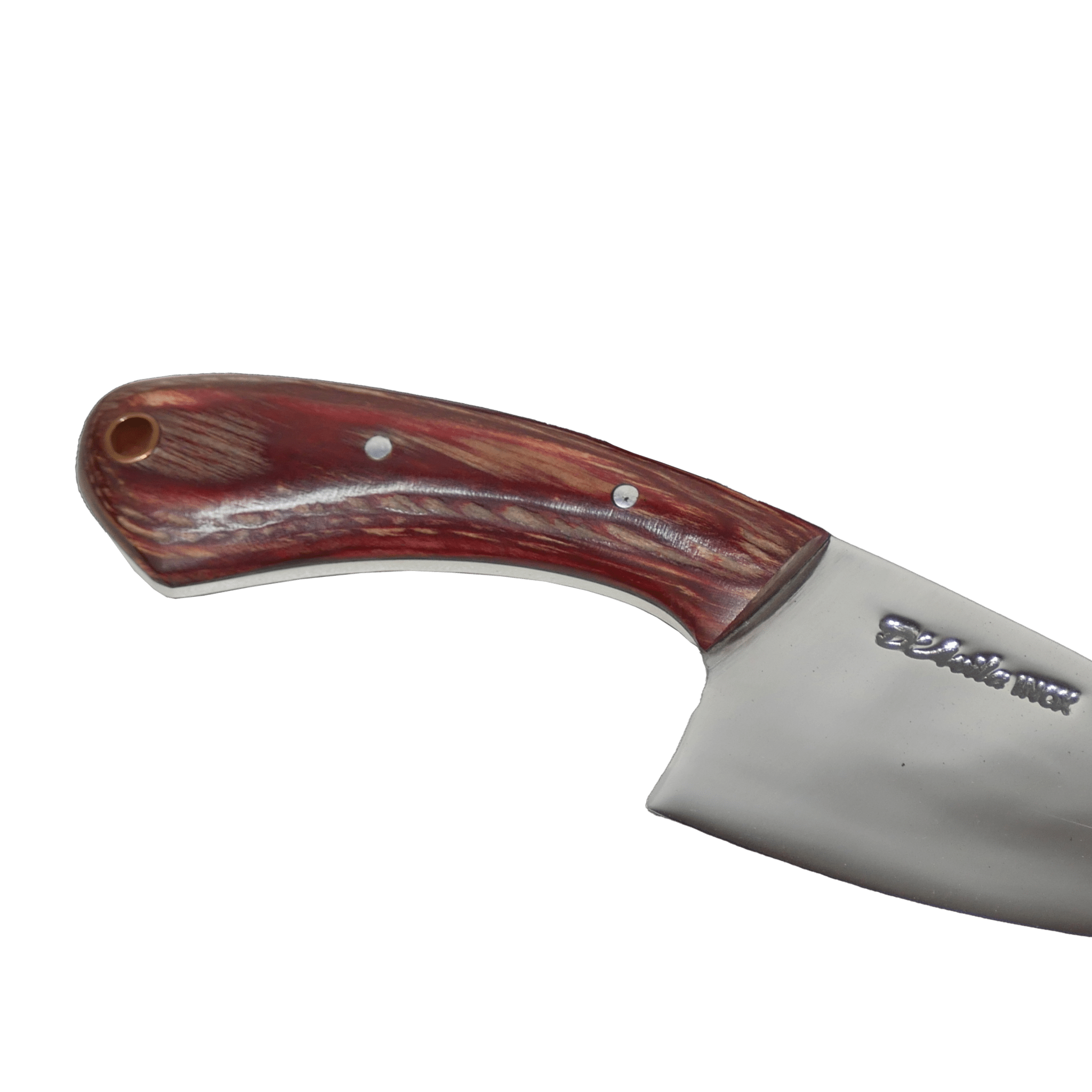 Jaguar Claw Adventure 3" Knife in Stainless Steel 420, Stabilized Wood Handle - D'Avila Knives camping knife by D'Avila Australia