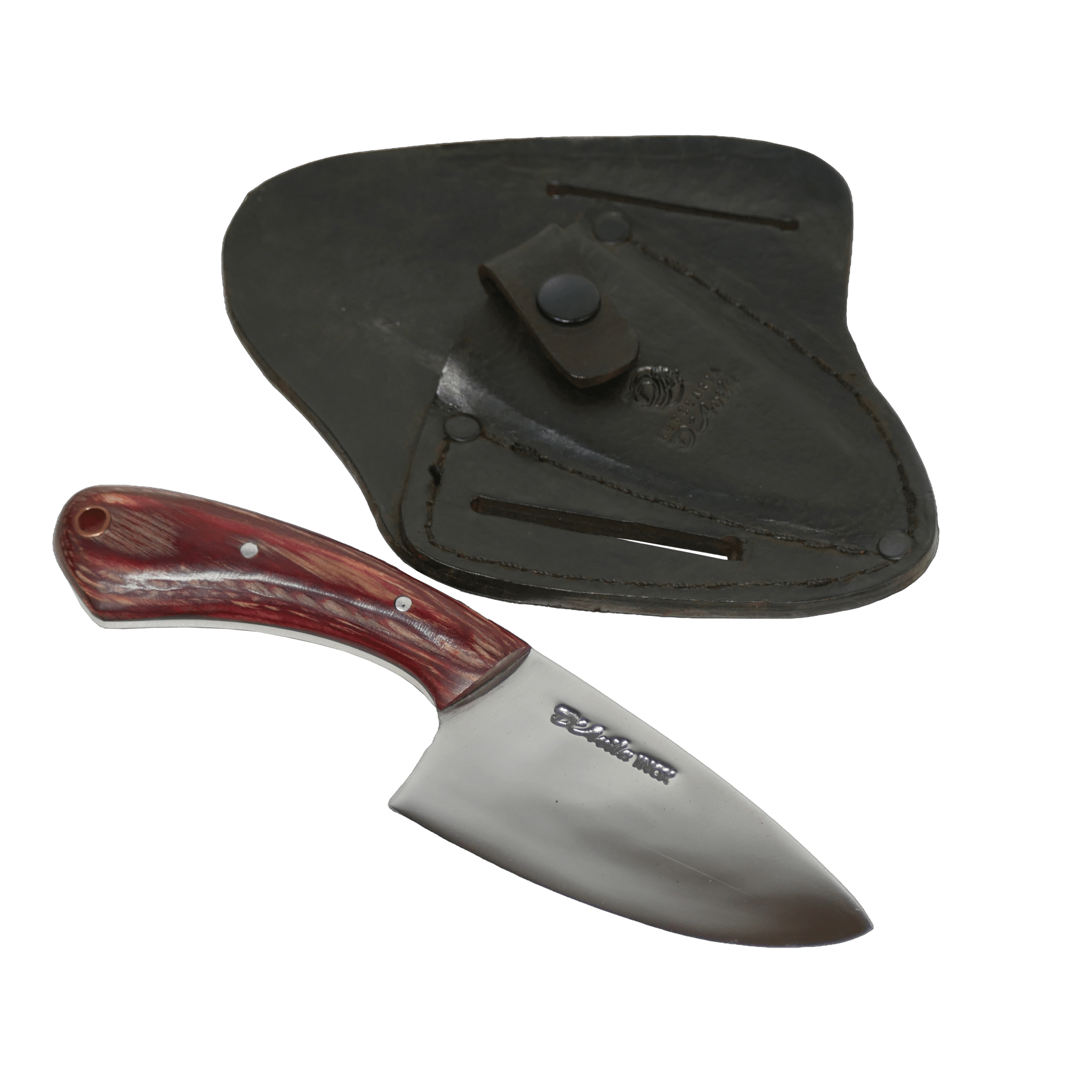 Jaguar Claw Adventure 3" Knife in Stainless Steel 420, Stabilized Wood Handle - D'Avila Knives camping knife by D'Avila Australia