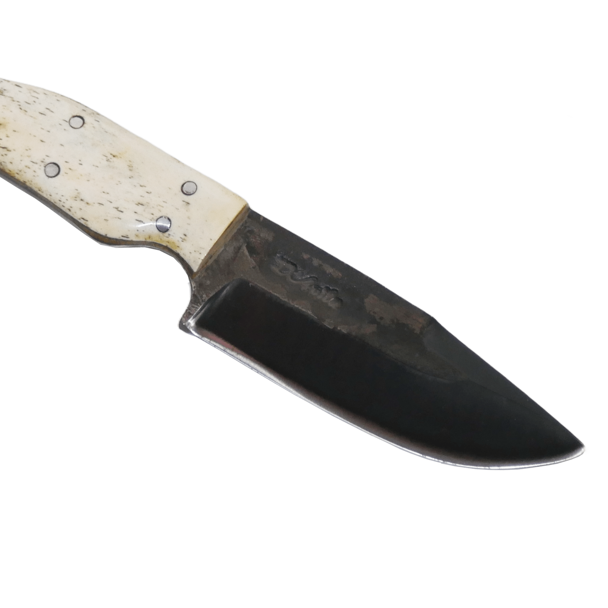 Minas Adventure 4" Knife in Carbon Steel 5160, Bovine Bone Handle - D'Avila Knives camping knife by D'Avila Australia
