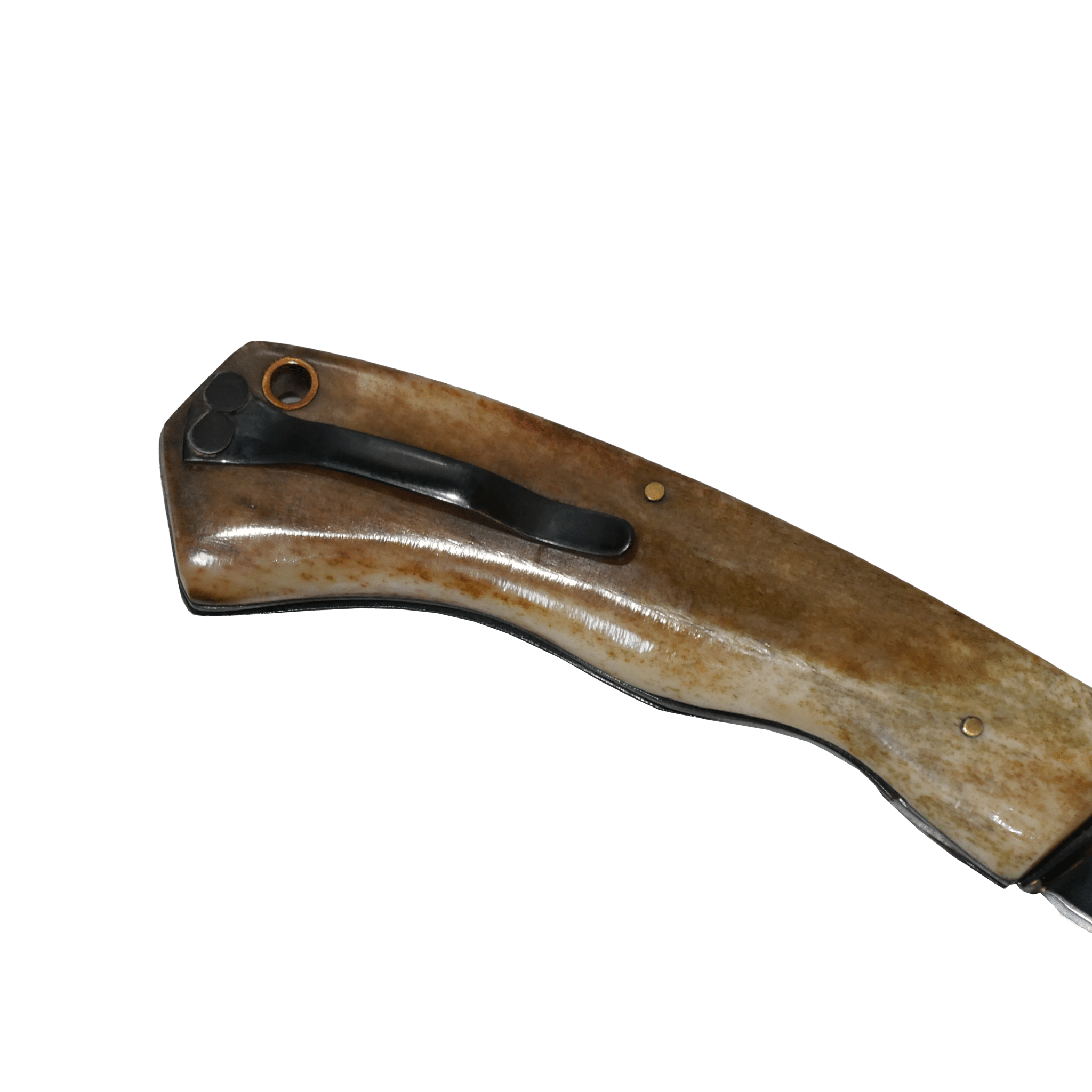 Mountain Adventure 3" Pocket Knife in Carbon Steel 5160, Bovine Bone Handle - D'Avila Knives camping knife by D'Avila Australia