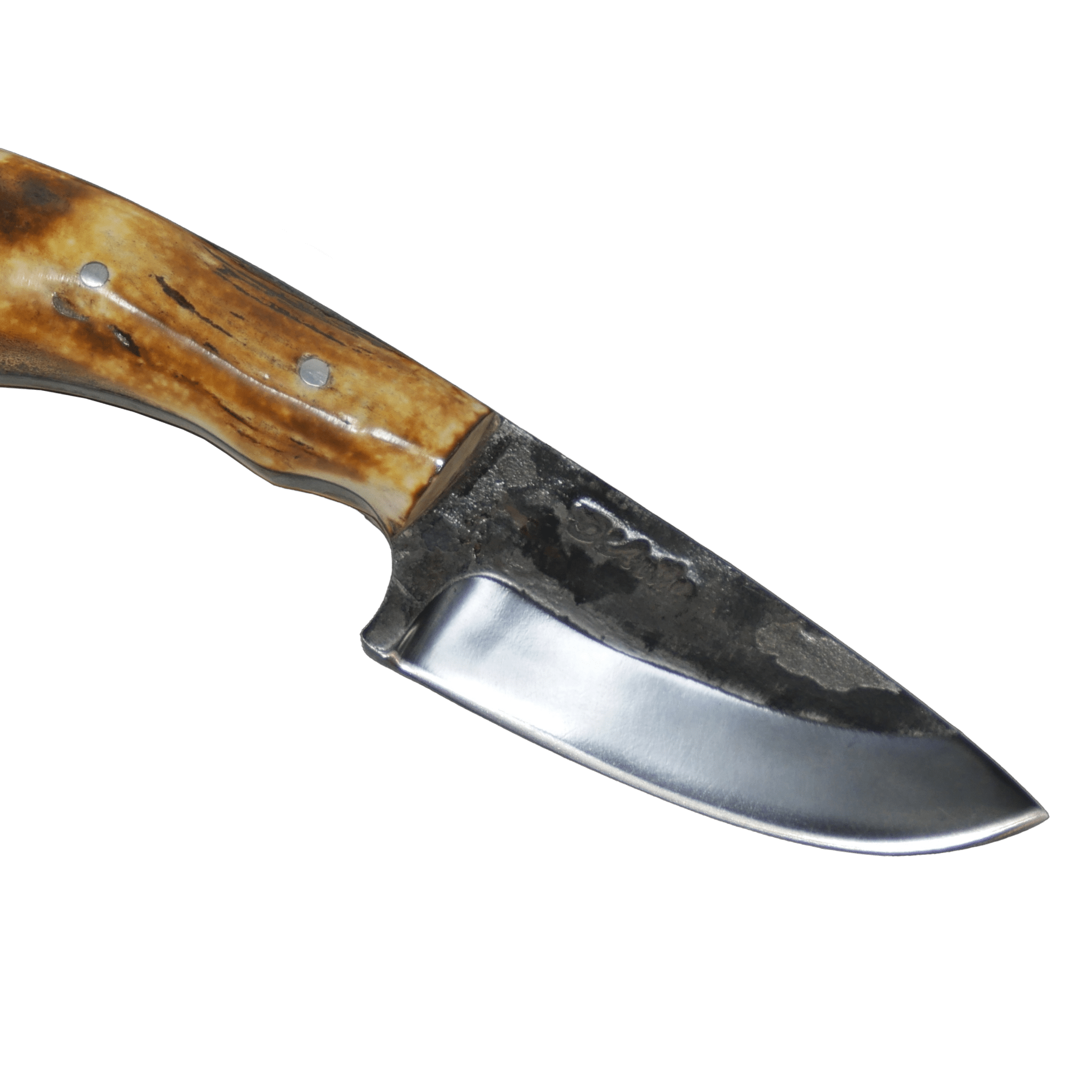 Pampa Adventure 3" Knife in Carbon Steel 5160, Argentine Deer Horn Handle - D'Avila Knives camping knife by D'Avila Australia