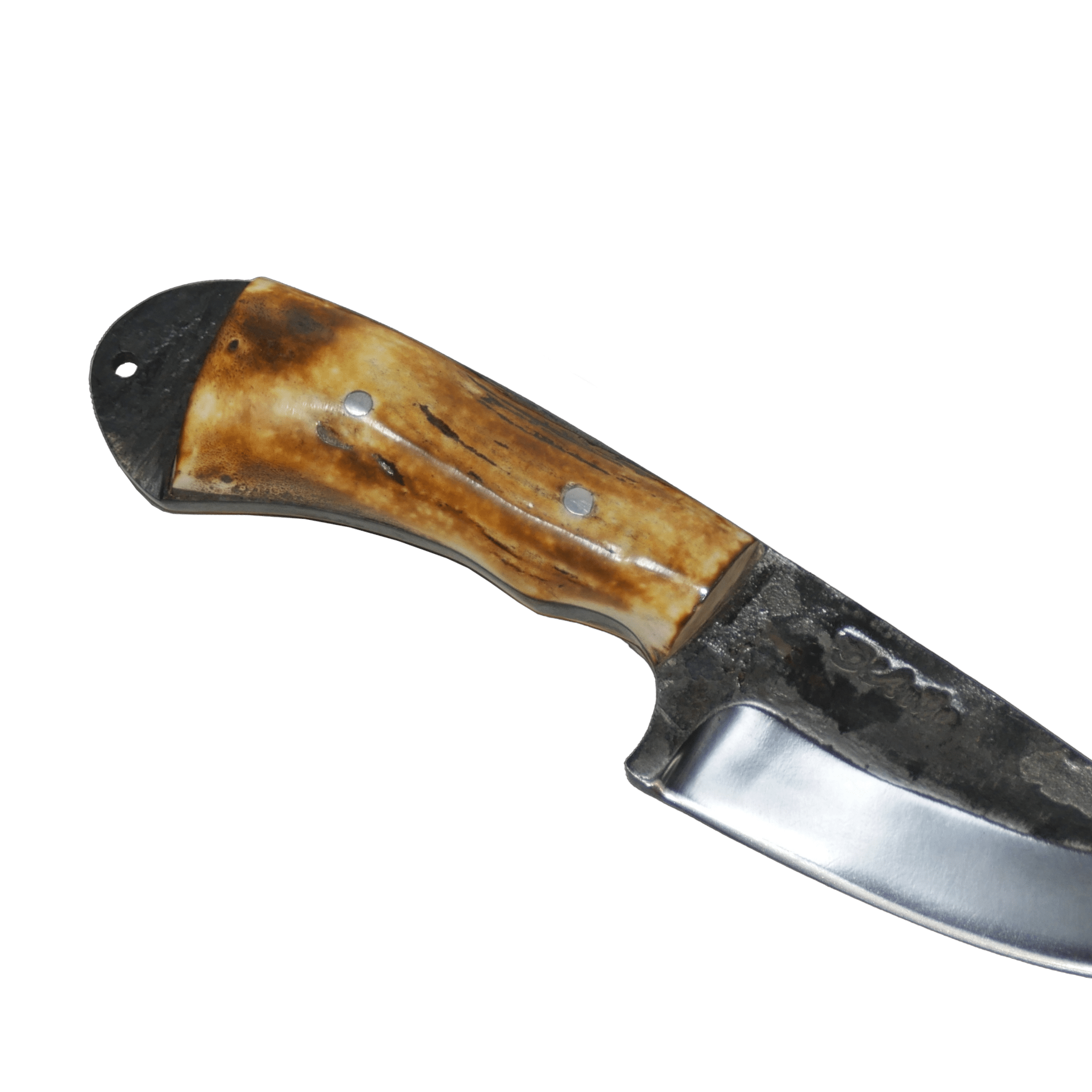 Pampa Adventure 3" Knife in Carbon Steel 5160, Argentine Deer Horn Handle - D'Avila Knives camping knife by D'Avila Australia