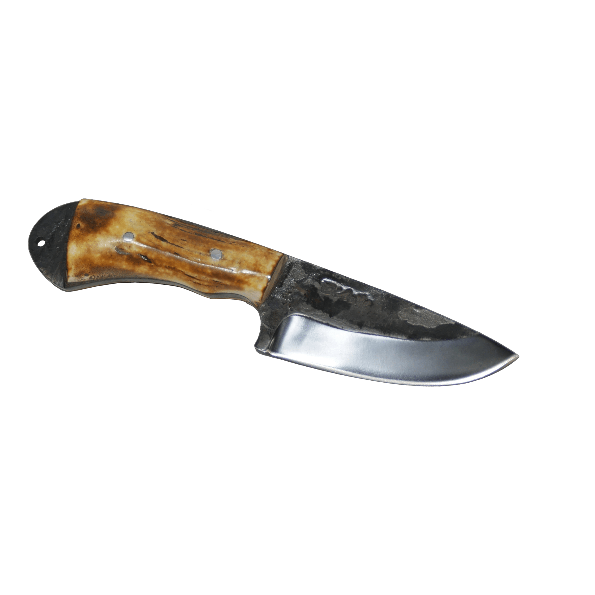 Pampa Adventure 3" Knife in Carbon Steel 5160, Argentine Deer Horn Handle - D'Avila Knives camping knife by D'Avila Australia