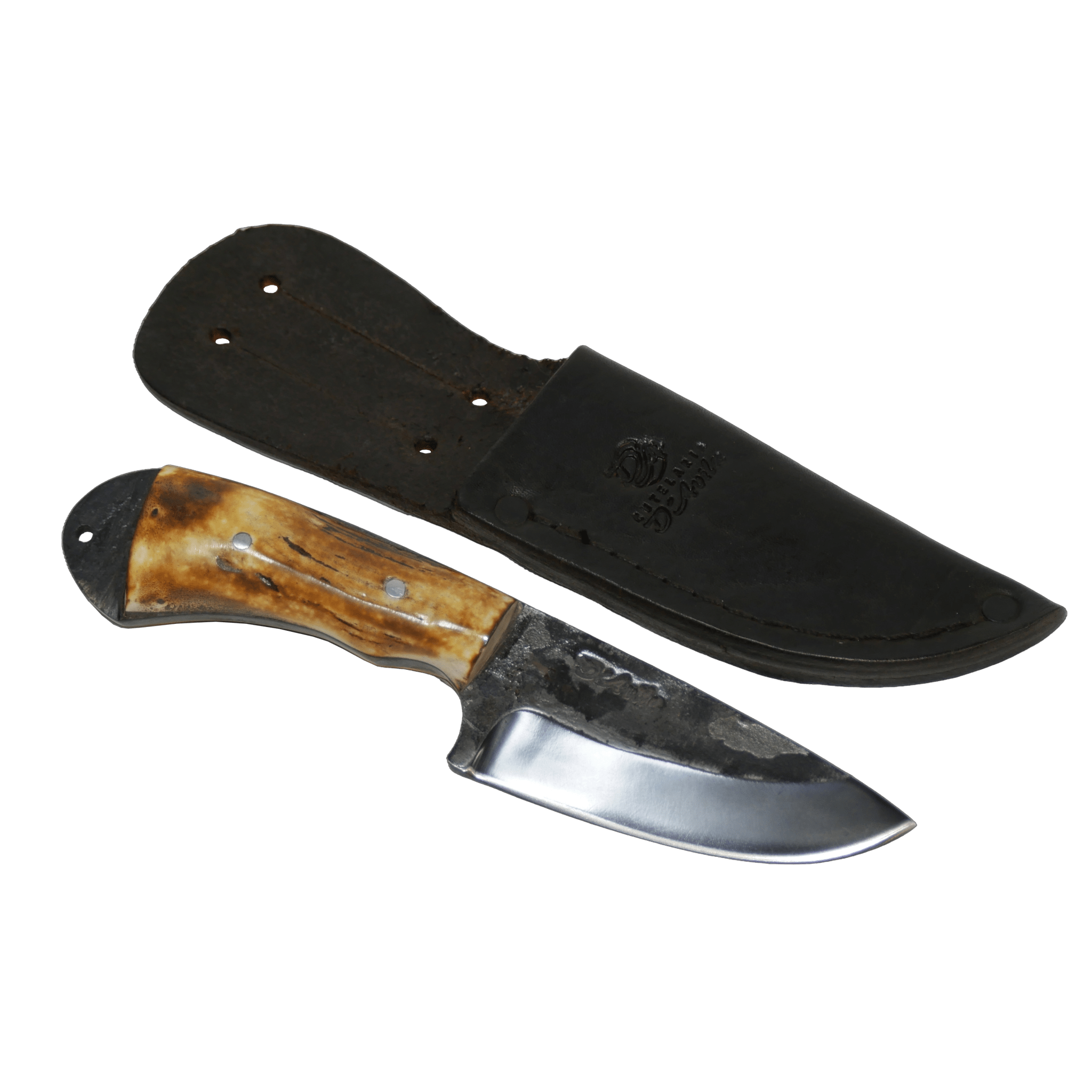 Pampa Adventure 3" Knife in Carbon Steel 5160, Argentine Deer Horn Handle - D'Avila Knives camping knife by D'Avila Australia