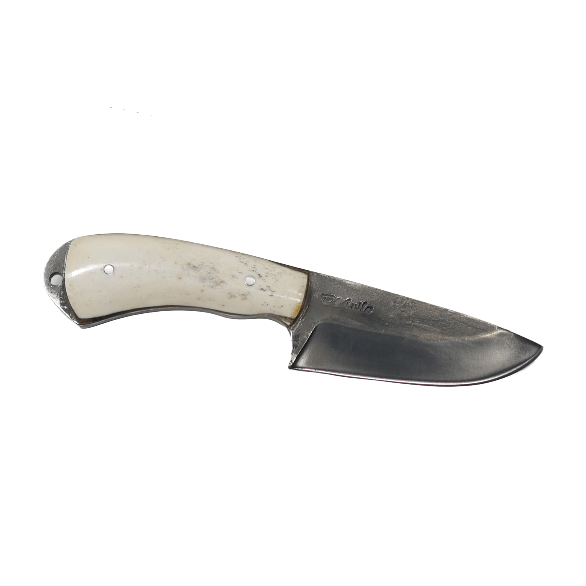 Pampa Adventure 3" Knife in Carbon Steel 5160, Bovine Bone Handle - D'Avila Knives camping knife by D'Avila Australia