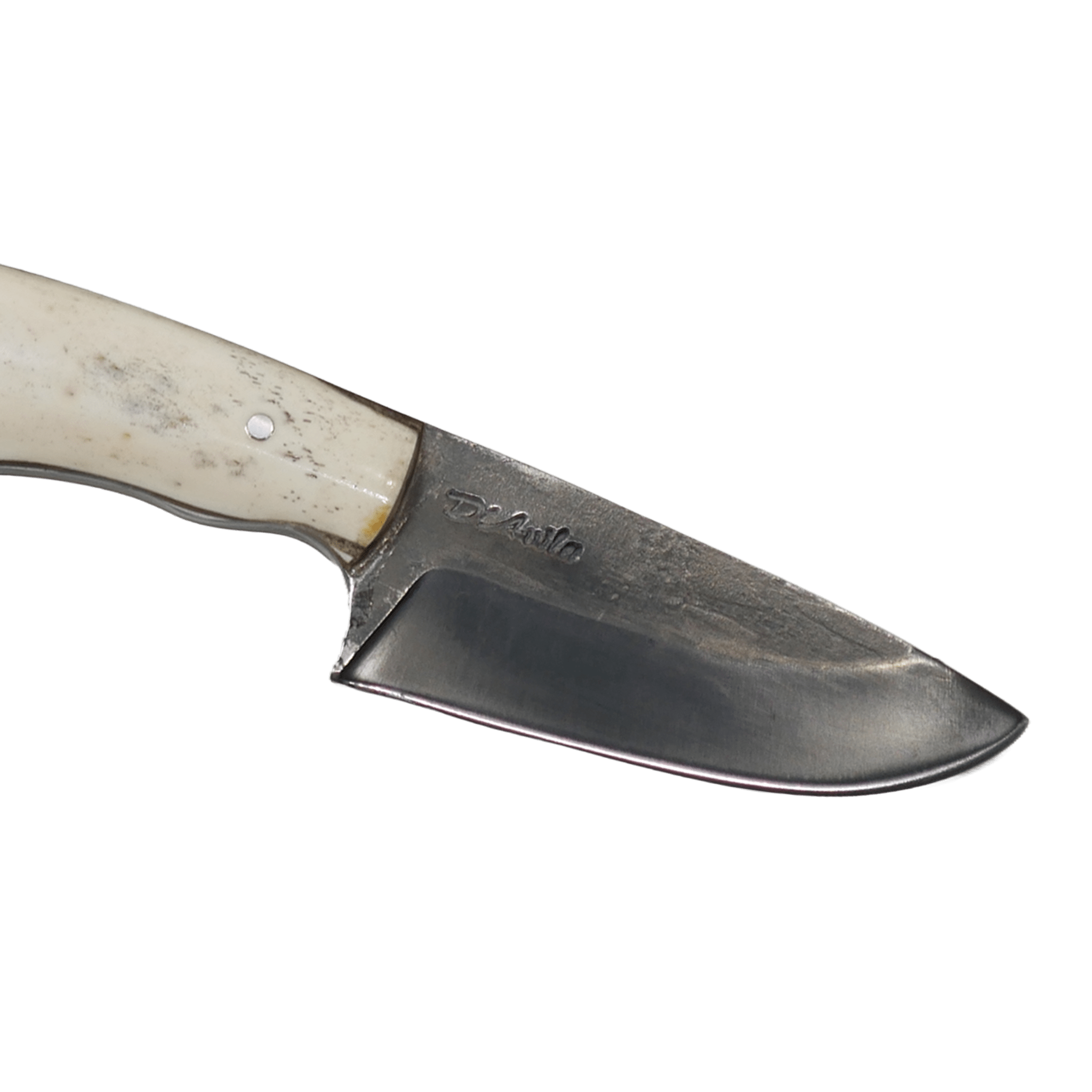 Pampa Adventure 3" Knife in Carbon Steel 5160, Bovine Bone Handle - D'Avila Knives camping knife by D'Avila Australia