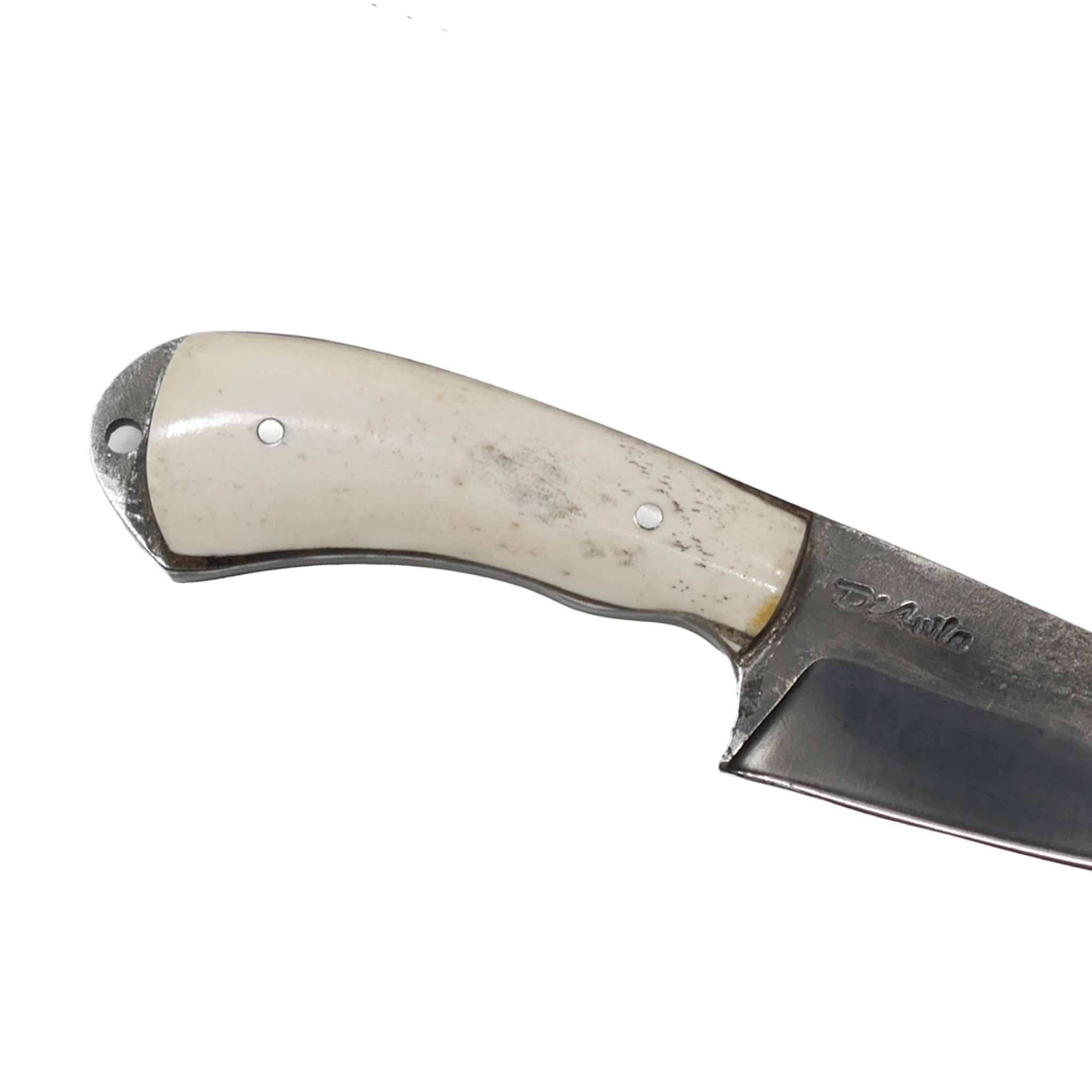 Pampa Adventure 3" Knife in Carbon Steel 5160, Bovine Bone Handle - D'Avila Knives camping knife by D'Avila Australia