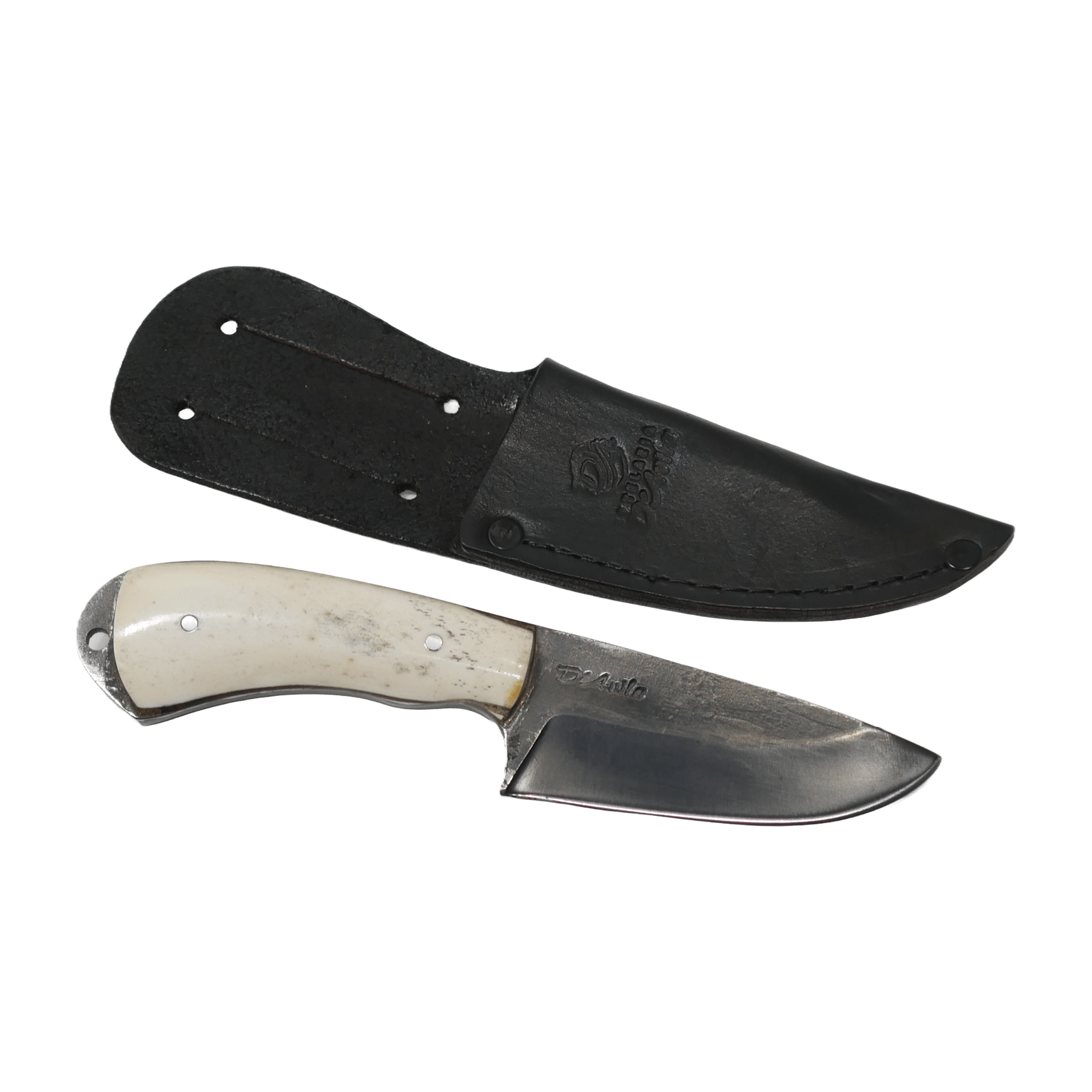 Pampa Adventure 3" Knife in Carbon Steel 5160, Bovine Bone Handle - D'Avila Knives camping knife by D'Avila Australia