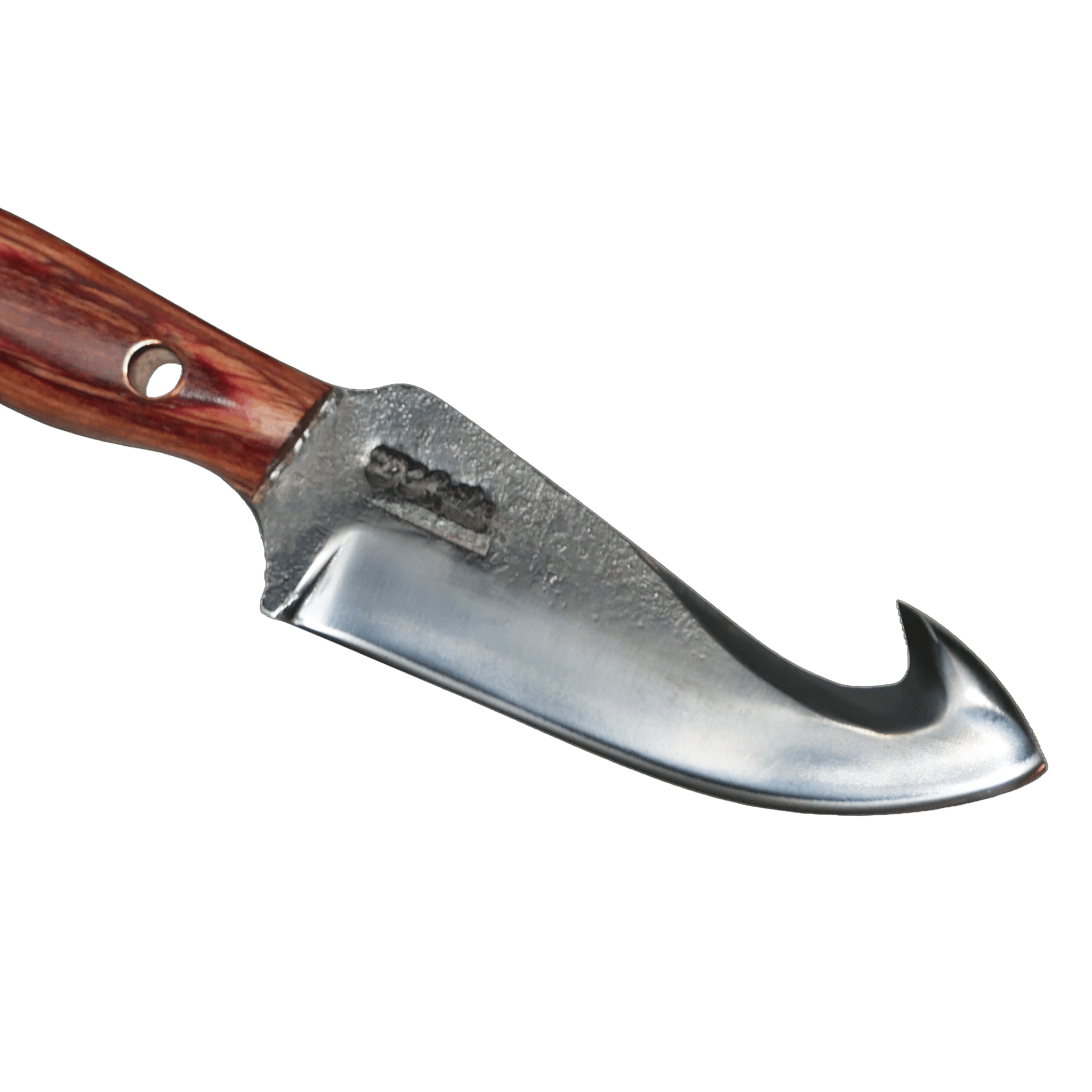 Skinner Adventure 6" Knife in Carbon Steel 5160, Stabilized Wood Handle - D'Avila Knives camping knife by D'Avila Australia