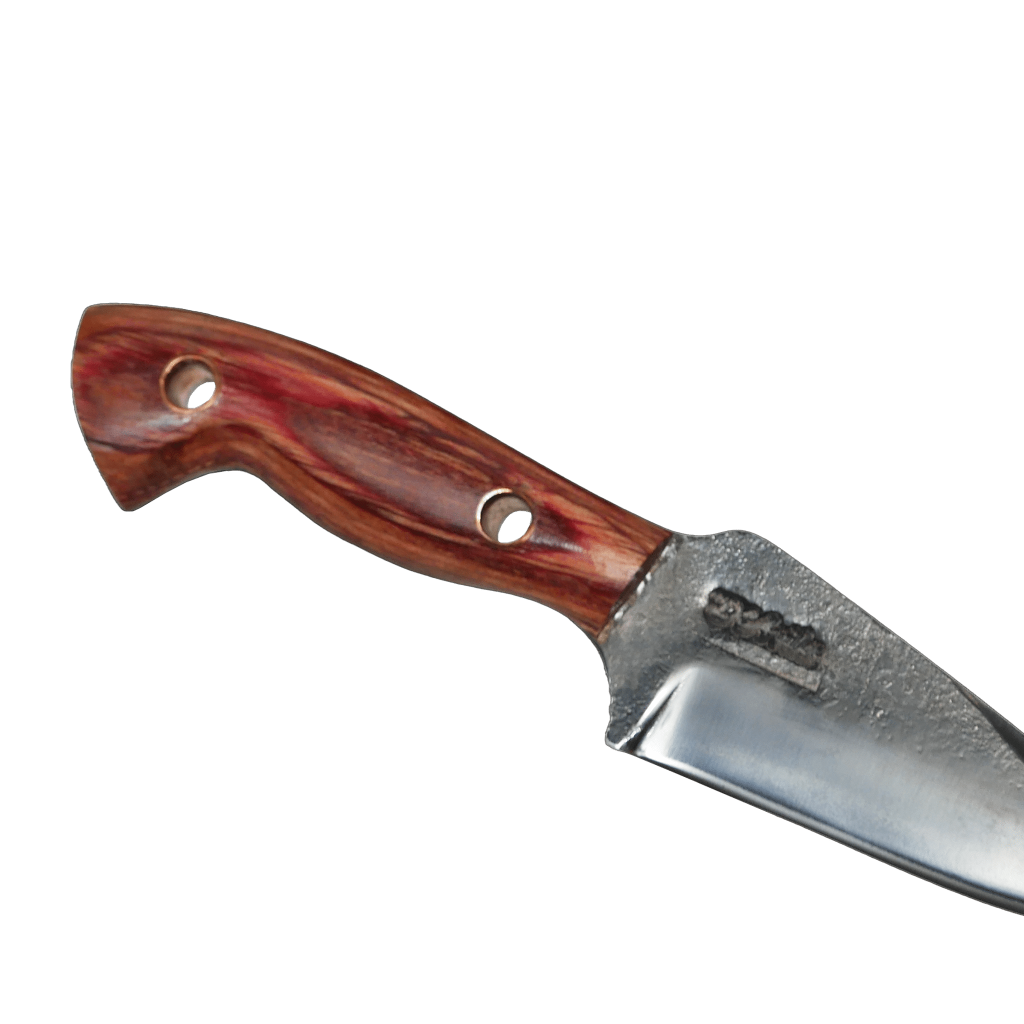 Skinner Adventure 6" Knife in Carbon Steel 5160, Stabilized Wood Handle - D'Avila Knives camping knife by D'Avila Australia