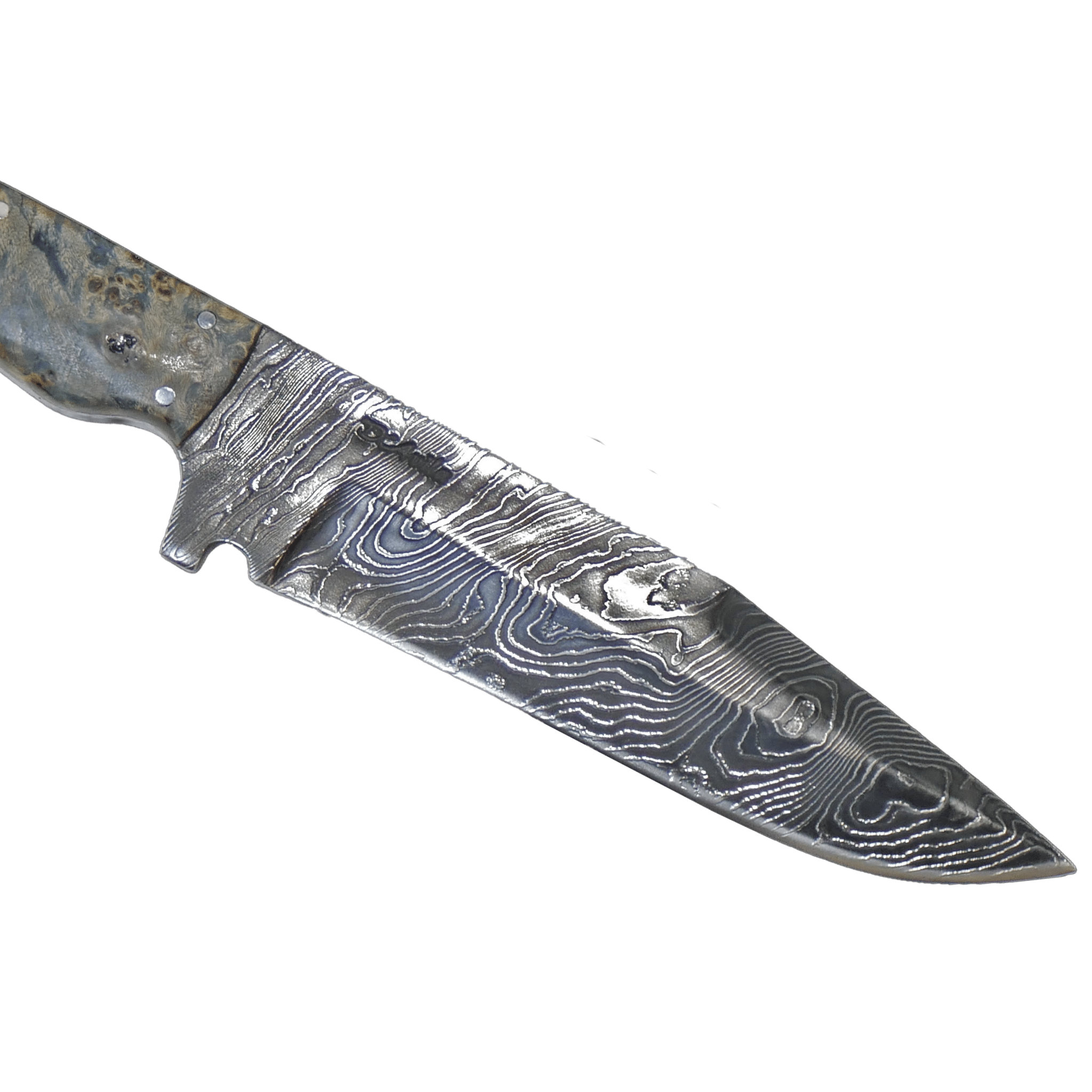 Tapes Adventure 6.5" Knife in Damascus Steel, Stabilized Wood Handle - D'Avila Knives camping knife by D'Avila Australia