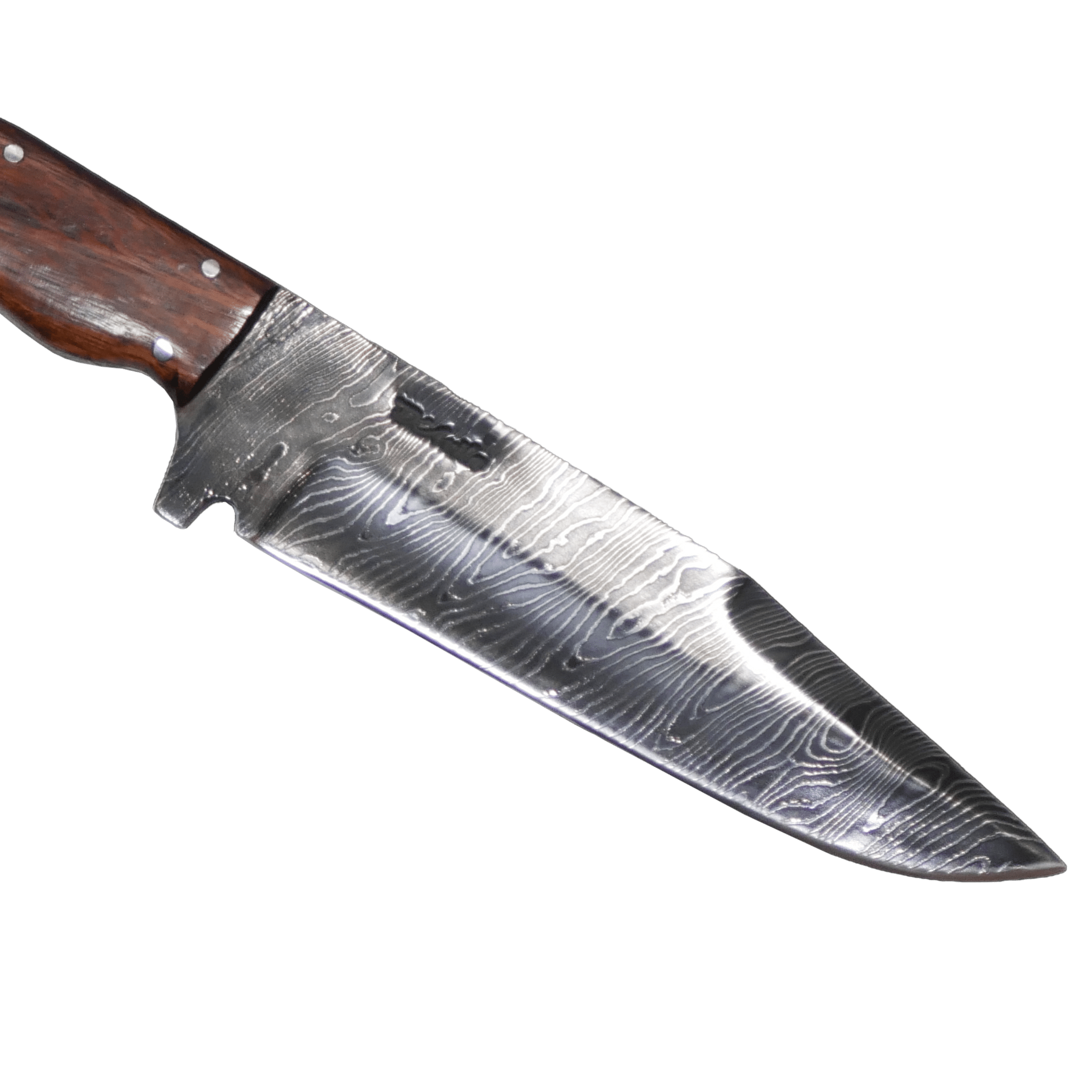 Tapes Adventure 6.5" Knife in Damascus Steel, Stabilized Wood Handle - D'Avila Knives camping knife by D'Avila Australia