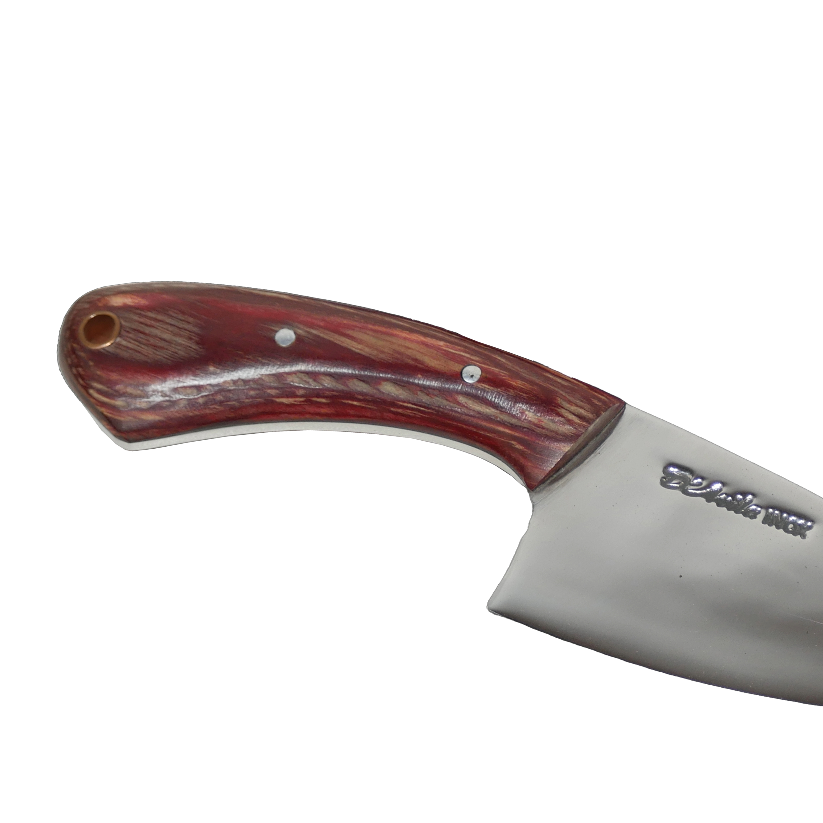 Jaguar Claw Adventure 3" Knife in Stainless Steel 420, Stabilized Wood Handle - D'Avila Knives