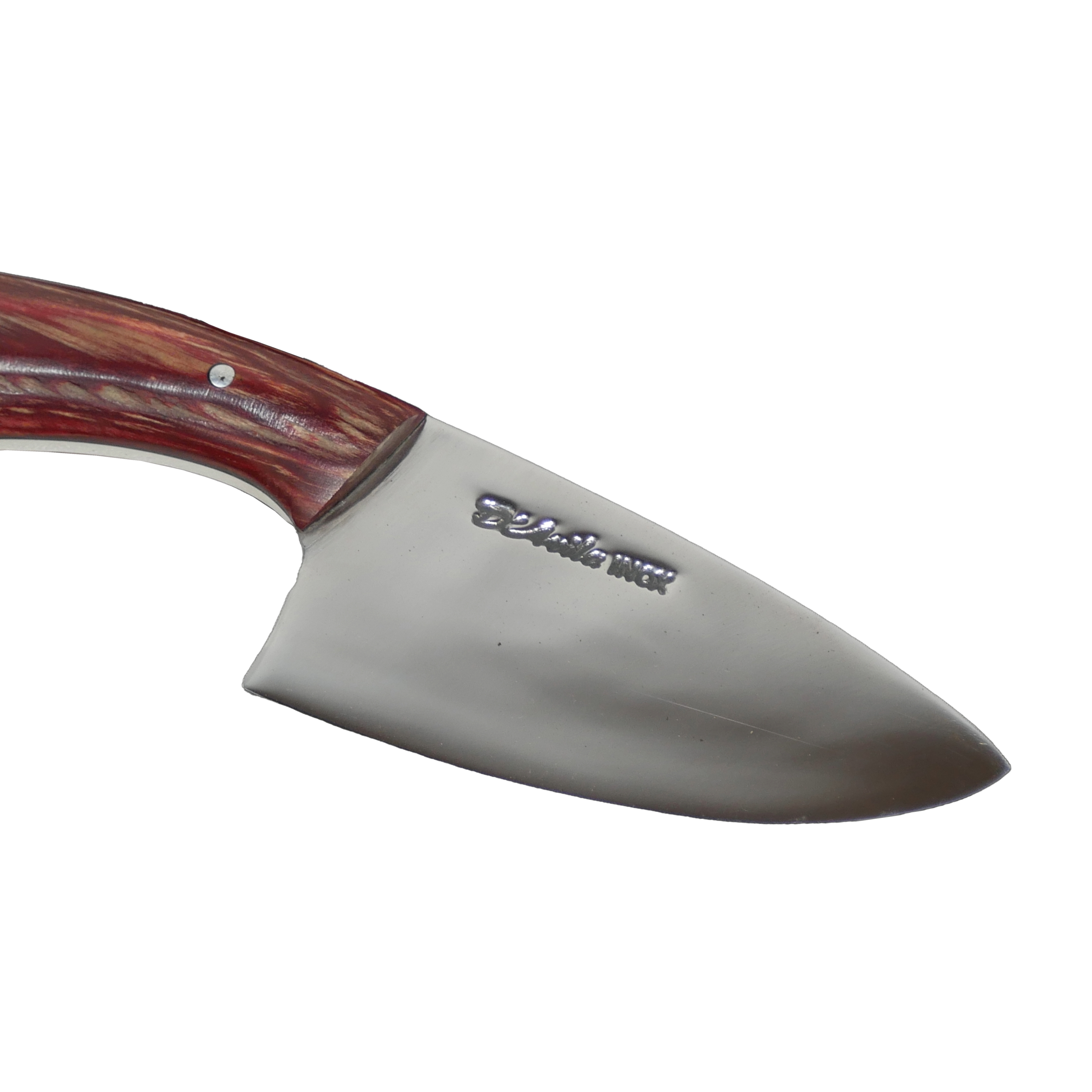 Jaguar Claw Adventure 3" Knife in Stainless Steel 420, Stabilized Wood Handle - D'Avila Knives