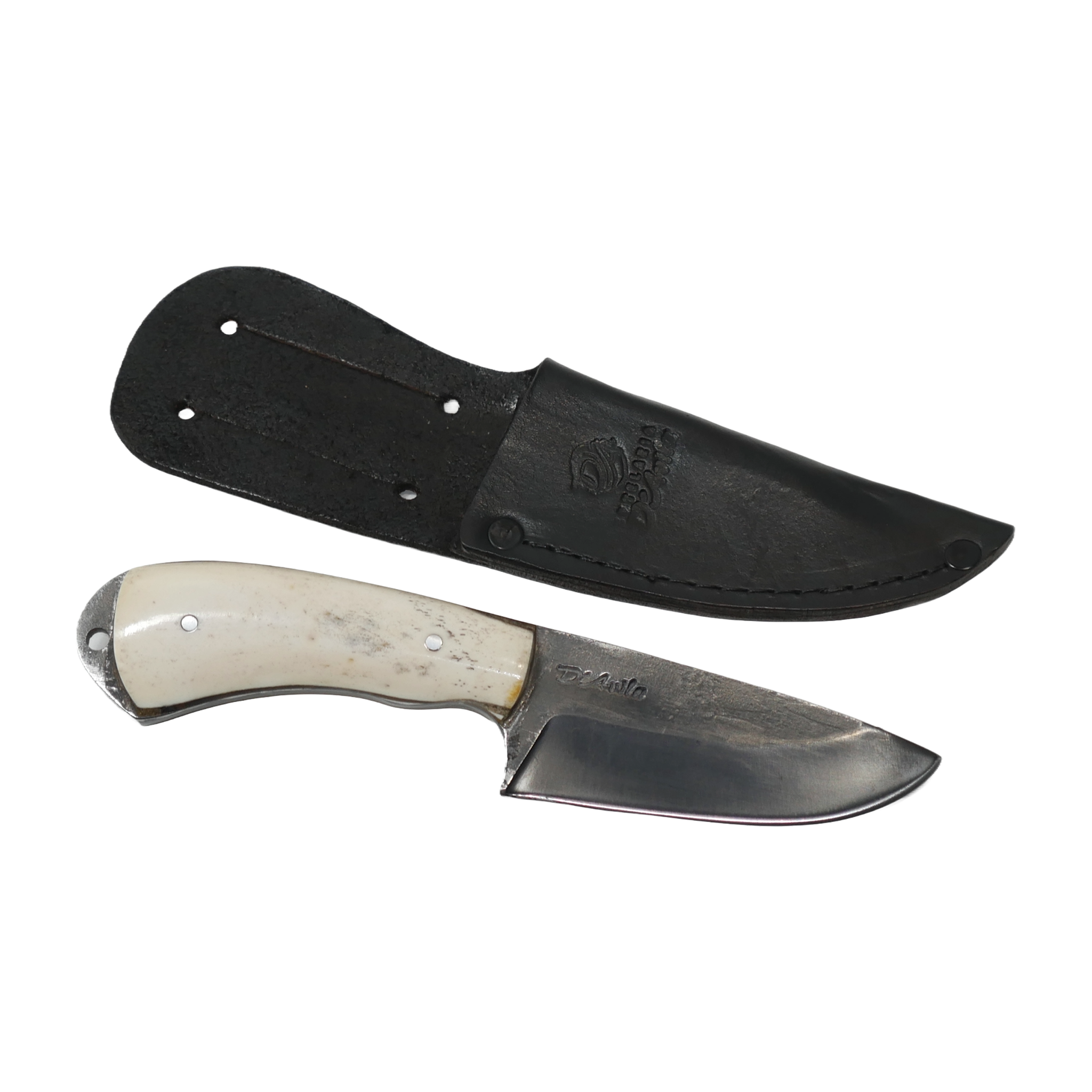 Pampa Adventure 3" Knife in Carbon Steel 5160, Bovine Bone Handle - D'Avila Knives