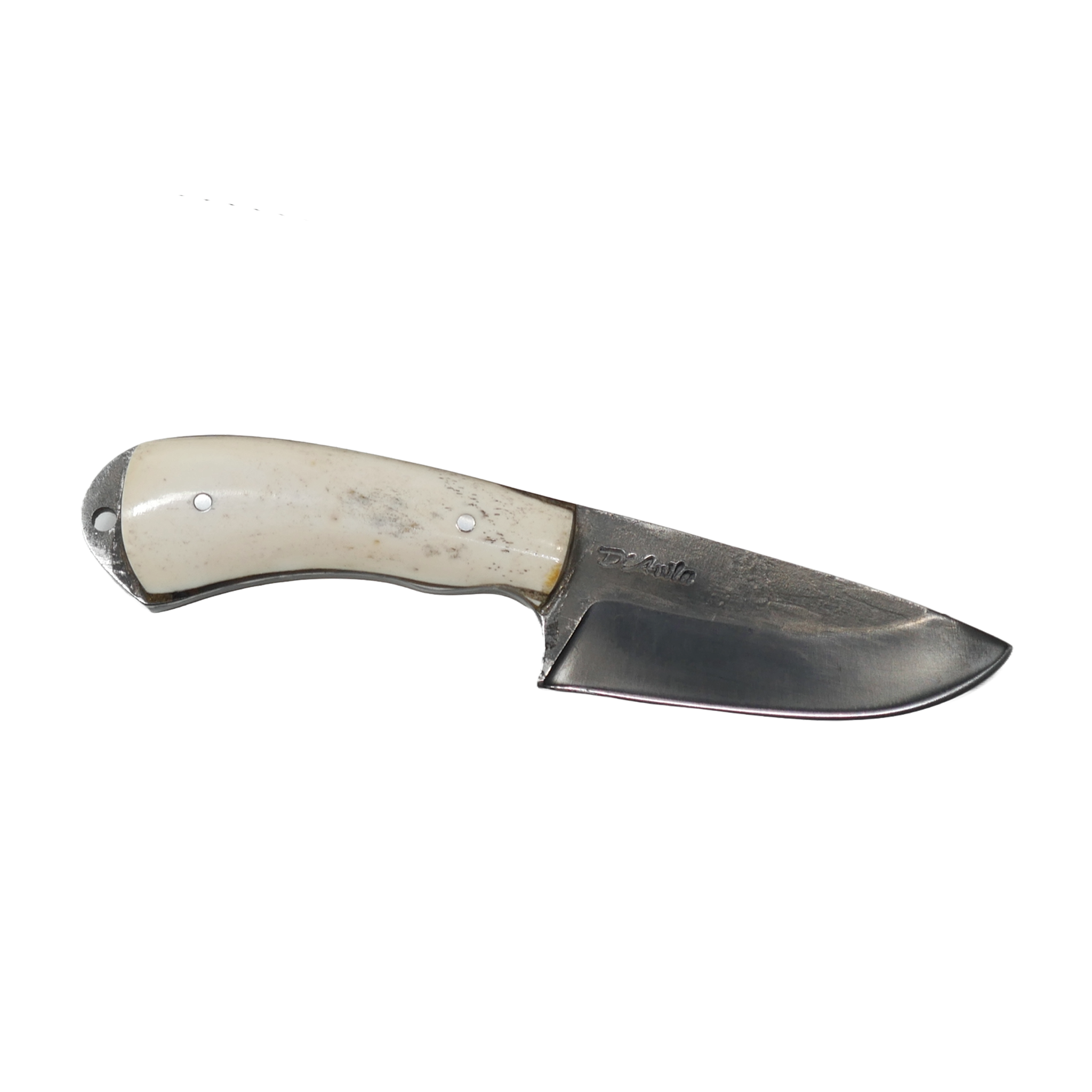 Pampa Adventure 3" Knife in Carbon Steel 5160, Bovine Bone Handle - D'Avila Knives