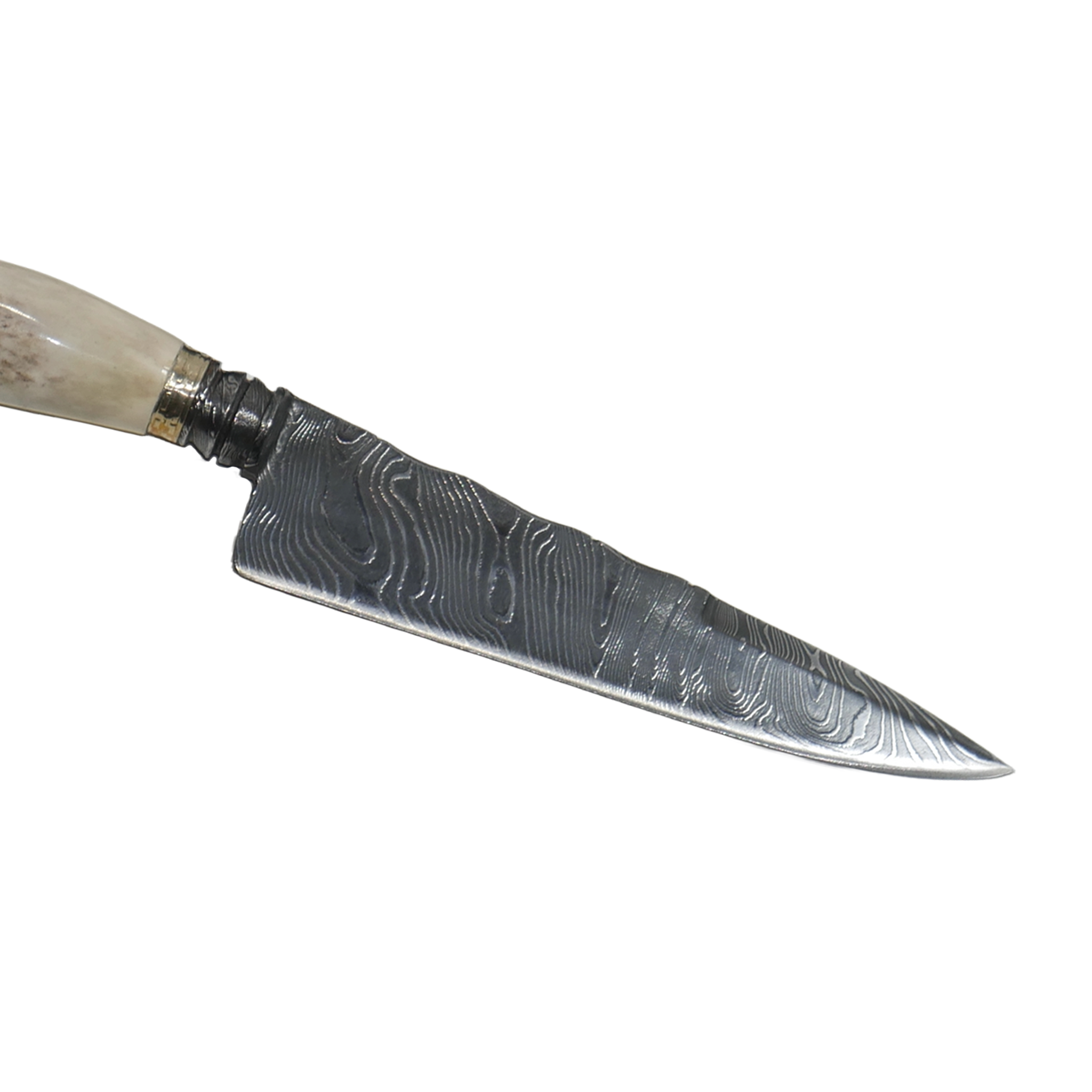 Torneada Damascus 6" Knife in Damascus Steel, Argentine Deer Horn Handle - D'Avila Knives