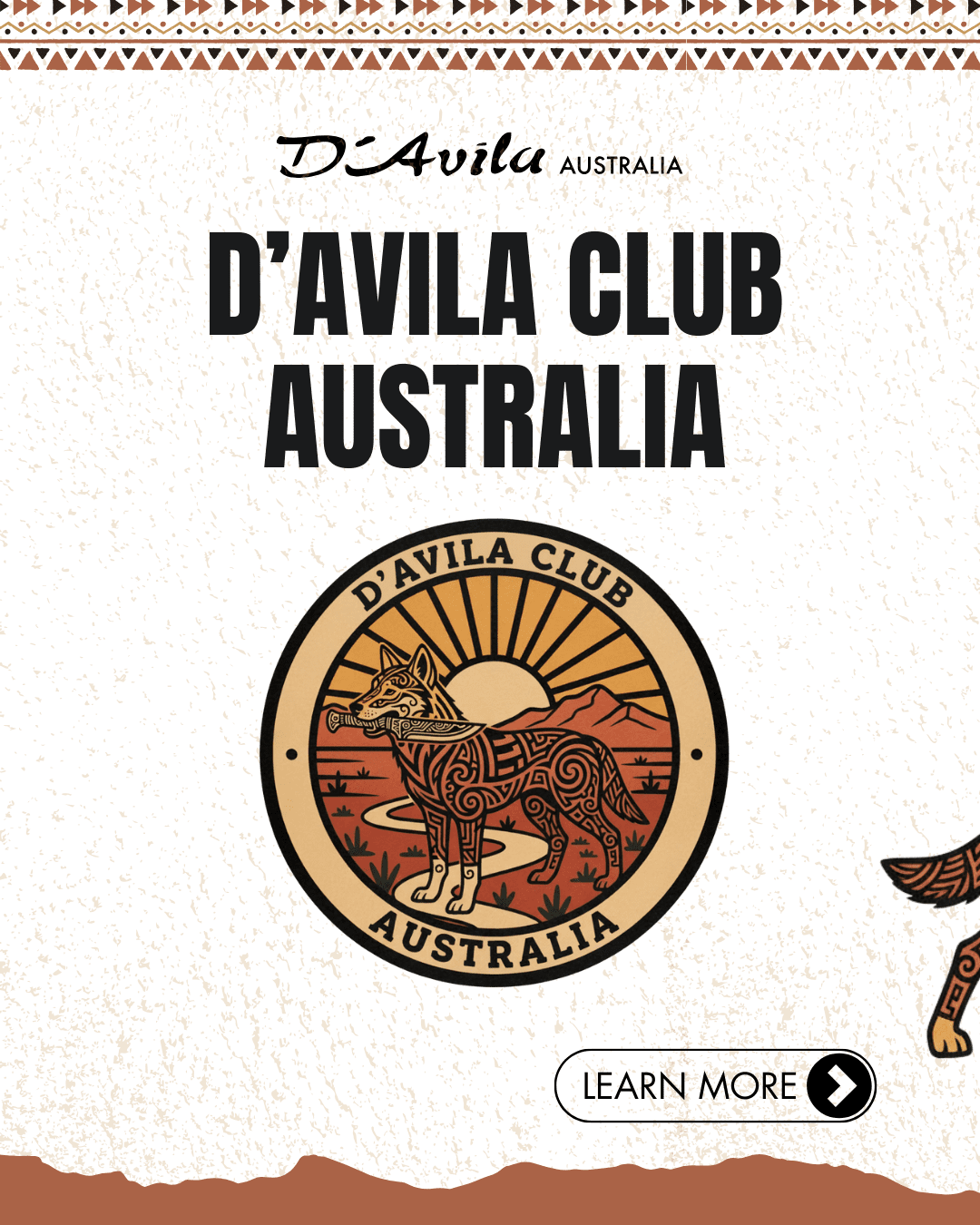 D'Avila Club camping knife by D'Avila Australia