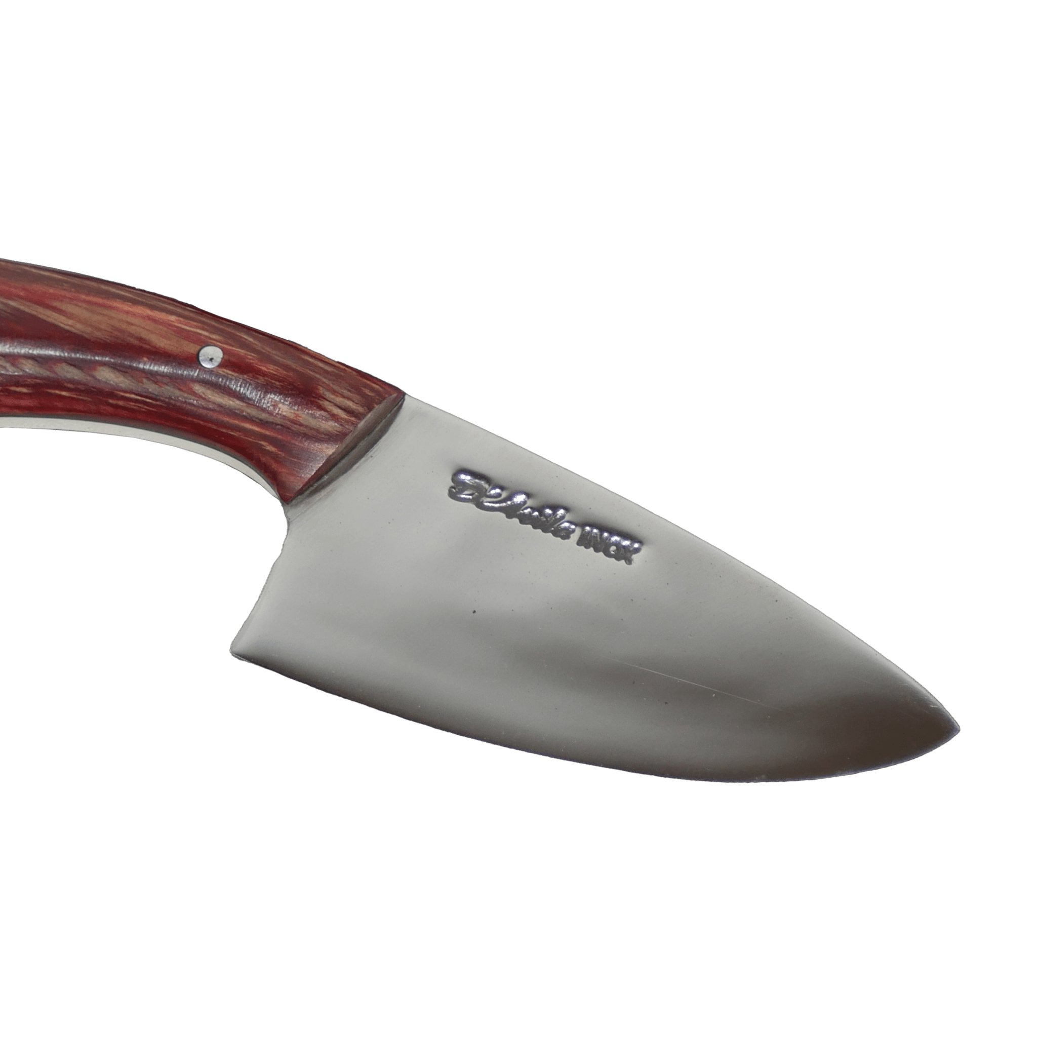 Jaguar Claw Adventure 3" Knife in Stainless Steel 420, Stabilized Wood Handle - D'Avila Knives camping knife by D'Avila Australia