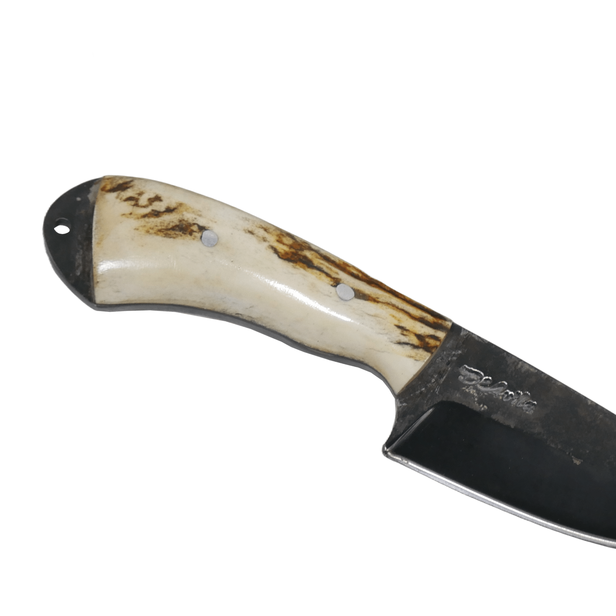 Pampa Adventure 3" Knife in Carbon Steel 5160, Argentine Deer Horn Handle - D'Avila Knives camping knife by D'Avila Australia