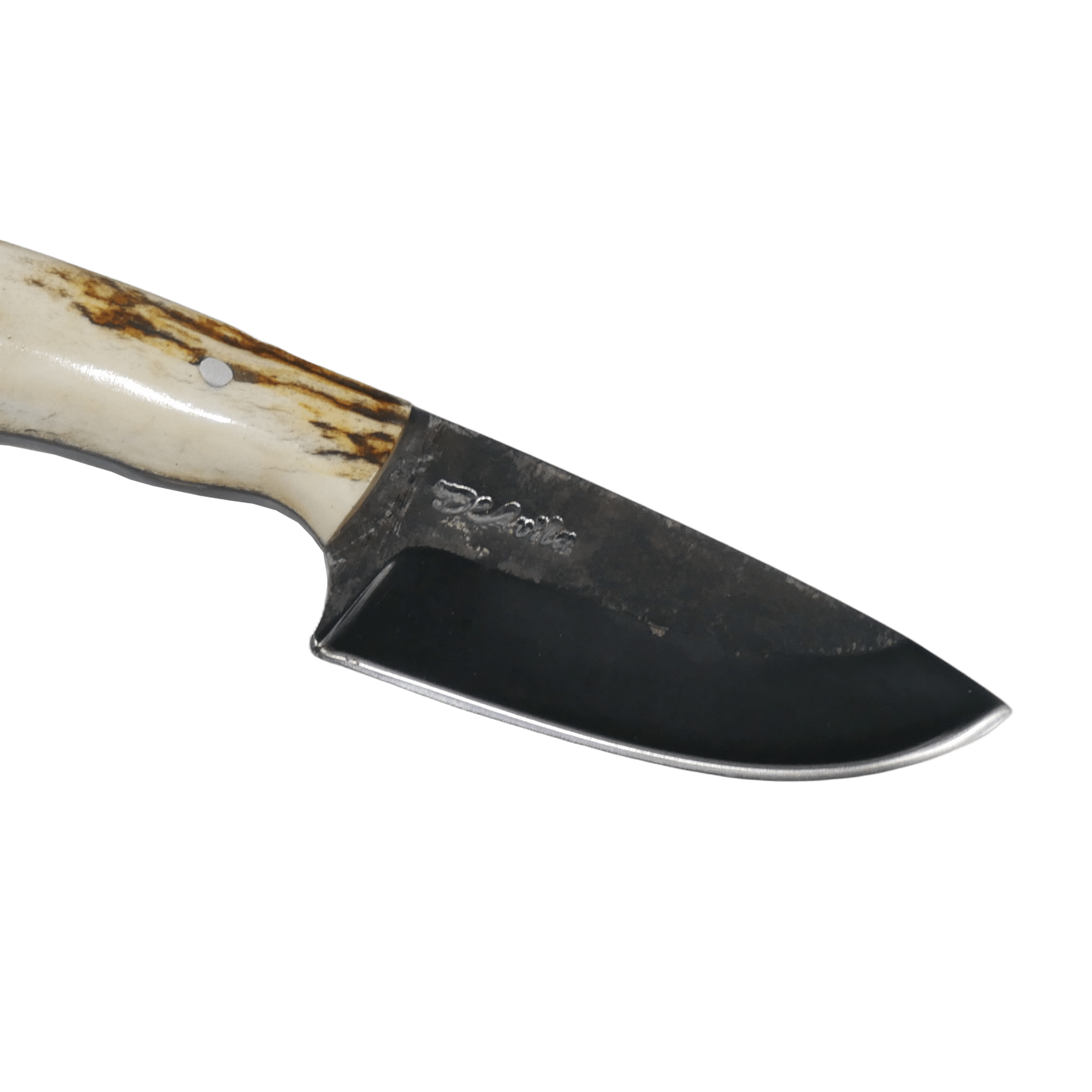 Pampa Adventure 3" Knife in Carbon Steel 5160, Argentine Deer Horn Handle - D'Avila Knives camping knife by D'Avila Australia