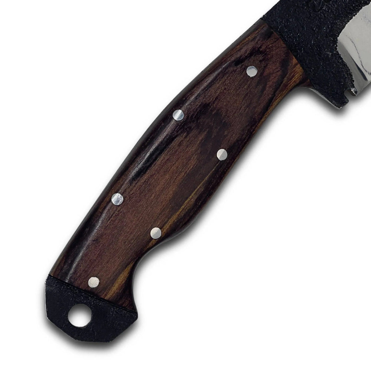 [PRE-ORDER – SHIPPING FROM OCT 31] Sampaio with Fire Steel Adventure 8" Knife in Stainless Steel 420, Wood Handle - D'Avila Knives camping knife by D'Avila Australia