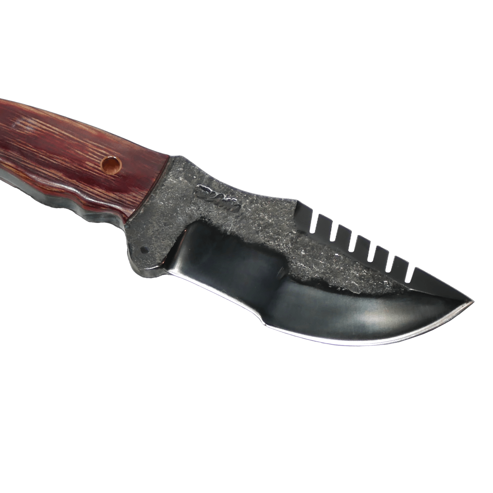 Tracker Adventure 6.5" Knife in Carbon Steel 5160, Stabilized Wood Handle - D'Avila Knives camping knife by D'Avila Australia